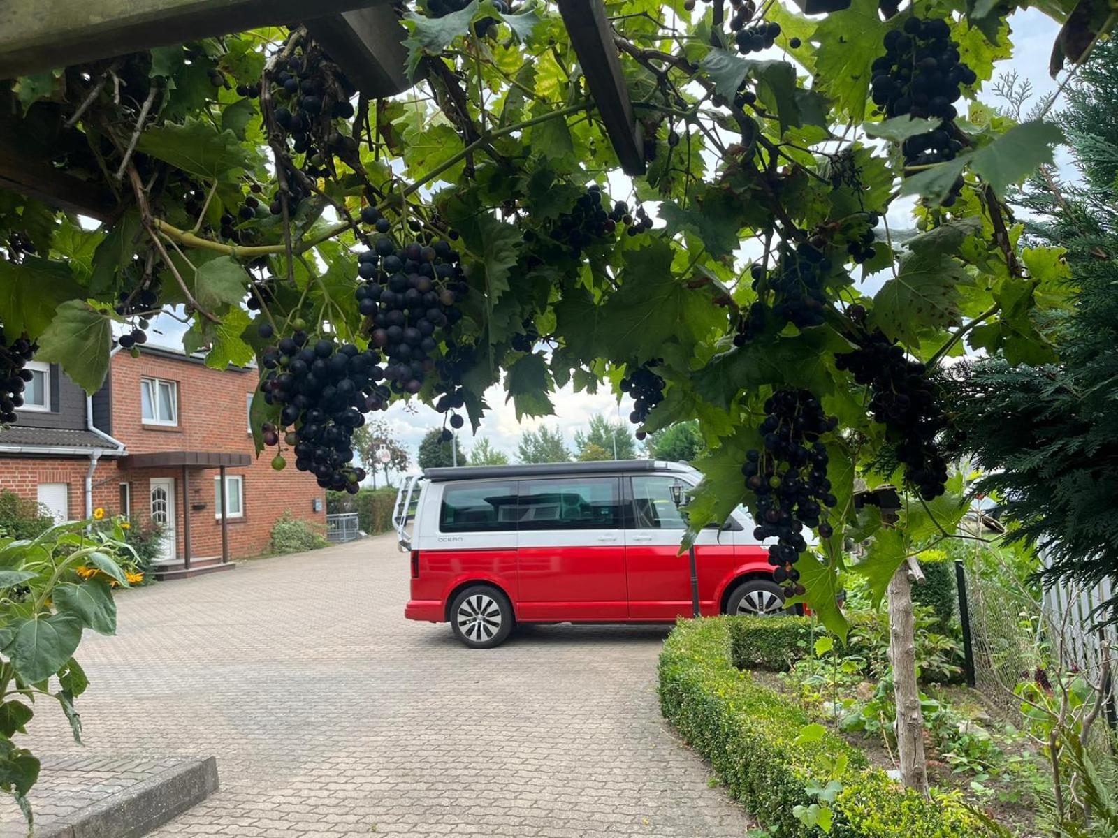Neumuehler Hof- Ferienwohnung "Benjamin" Mit Grosser Privater Dachterasse Und Guter Anbindung In Die City Schwerin  Eksteriør bilde